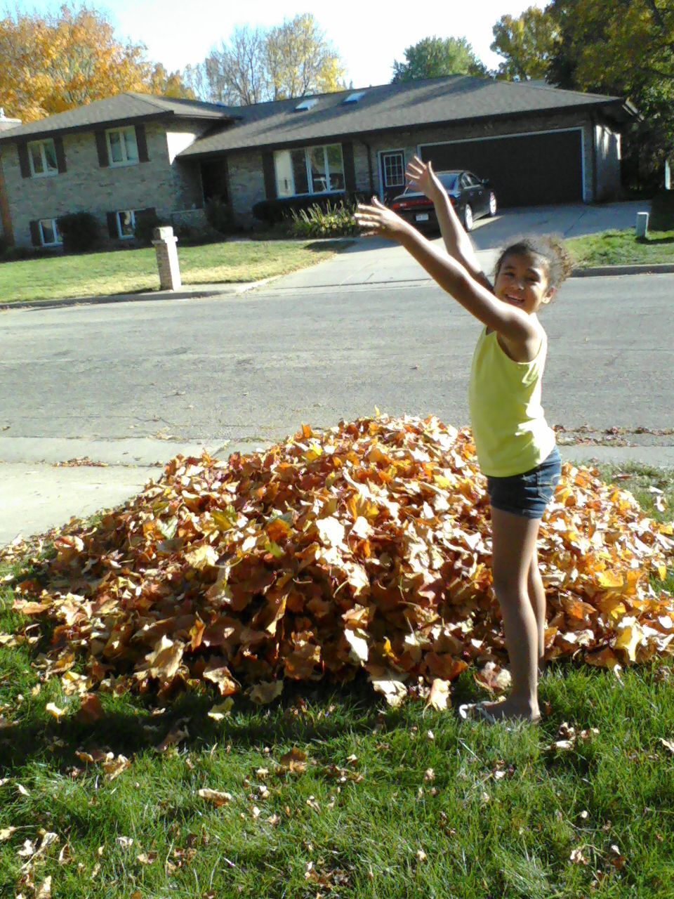 Fall fun